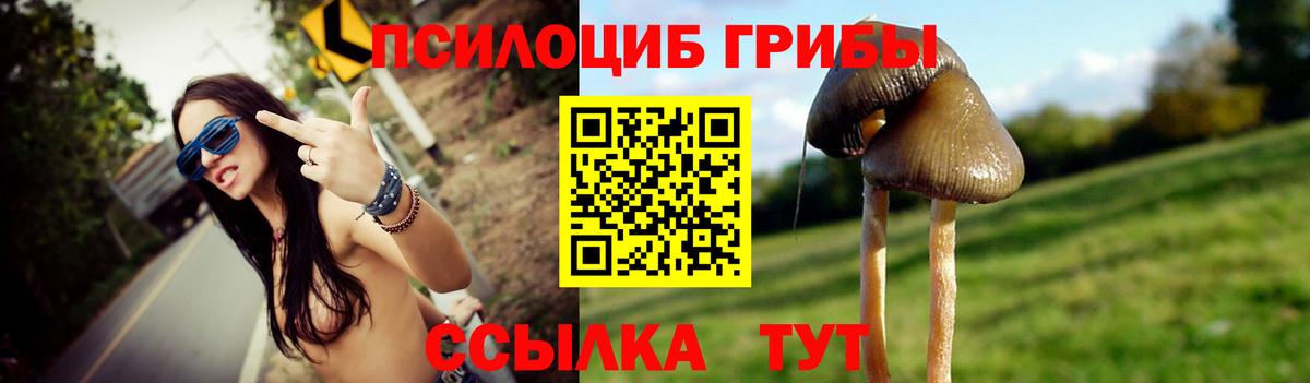 Ачхой-Мартан  Псилоцибиновые грибы Magic Shrooms  Вход с VPN 